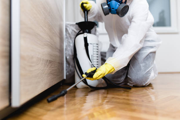 Best Mosquito Control Services  in Petersburg, IN