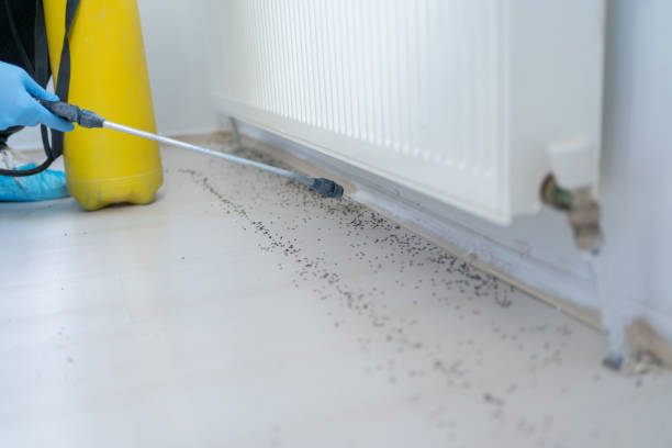 Best Pest Control for Businesses  in Petersburg, IN
