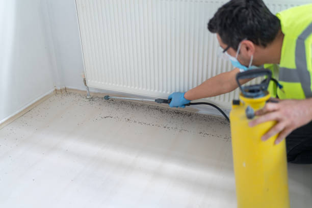 Best Residential Pest Control  in Petersburg, IN